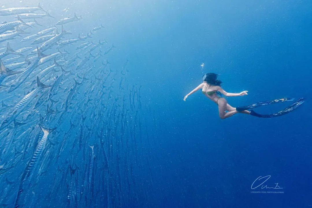e11f7ee0d01fcf1d3156e6a2d4d826af.jpg