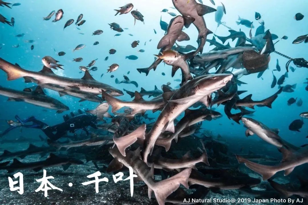 微信图片_20230227151500.jpg