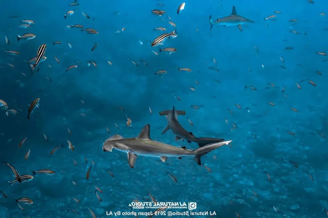 3e5e0de3657c570d917e42b801d722ae.jpg